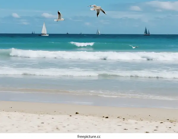 Clear blue sea with white waves and flying seagulls