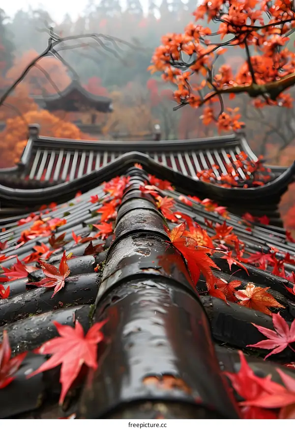 red autumn leaves on the black roof