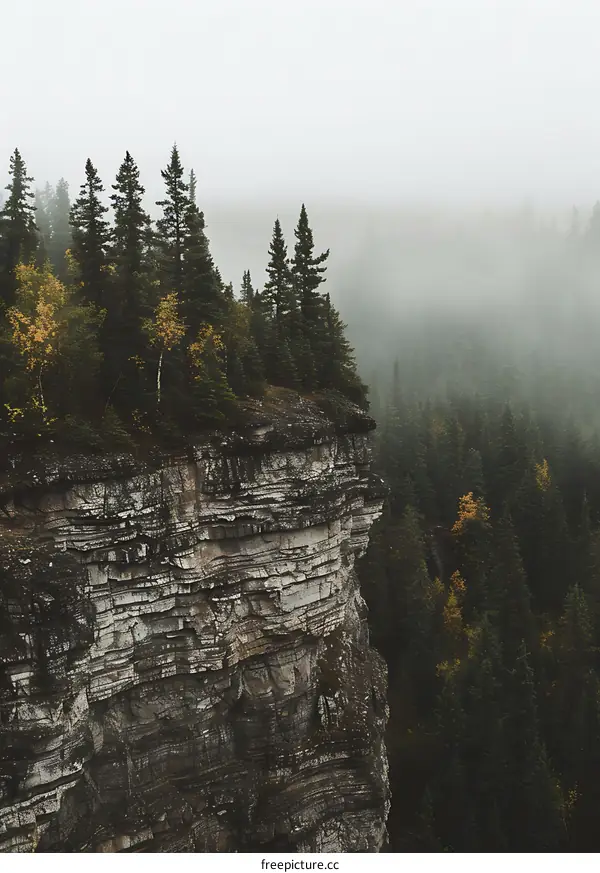 Rocky Cliff Overlooking Foggy Forest