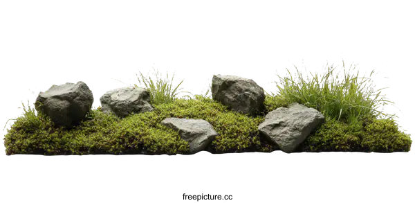 [Transparent Background PNG]Natural Landscape Arrangement with Rocks and Grass