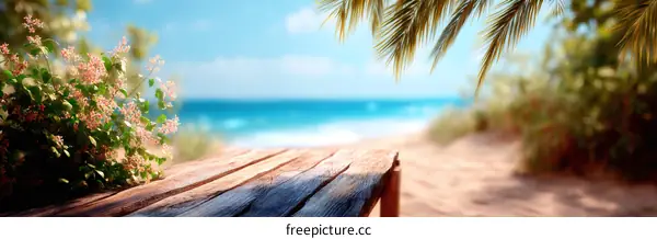 Tropical Beach Wooden Platform Background