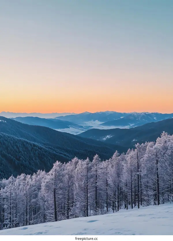 Snowy Mountain Range with a Pink Sunset Sky
