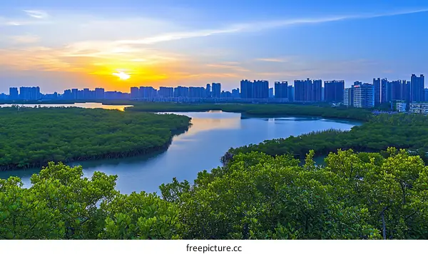 Sunset over Mangrove Forest and City Skyline