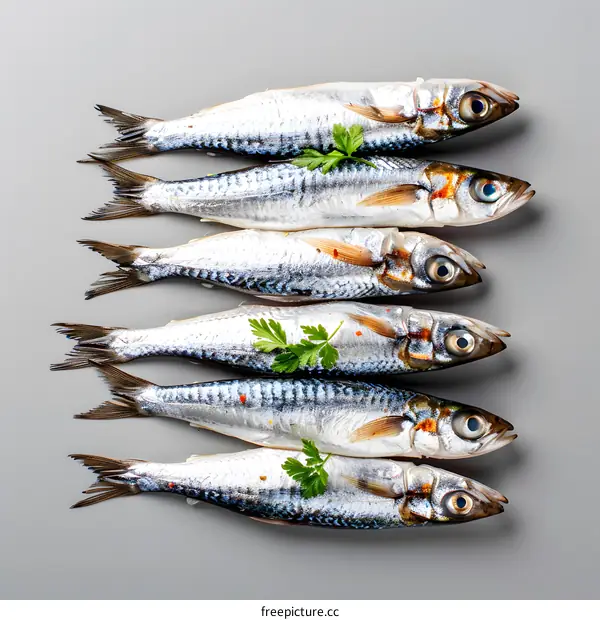 Fresh Fish on Gray Background