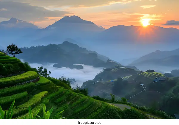 Terraced rice fields in Vietnam