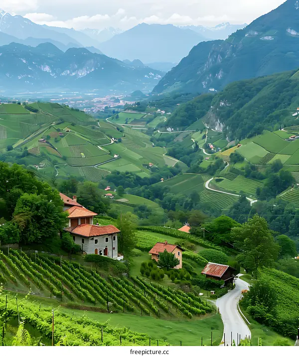 Green Mountains and Vineyards in the Italian Alps