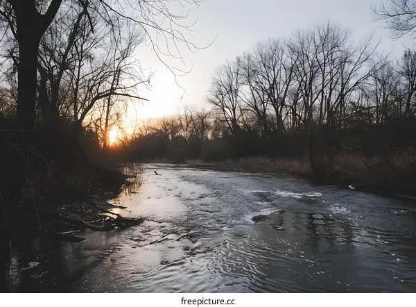 Sunset Over River with Bare Trees in the Winter