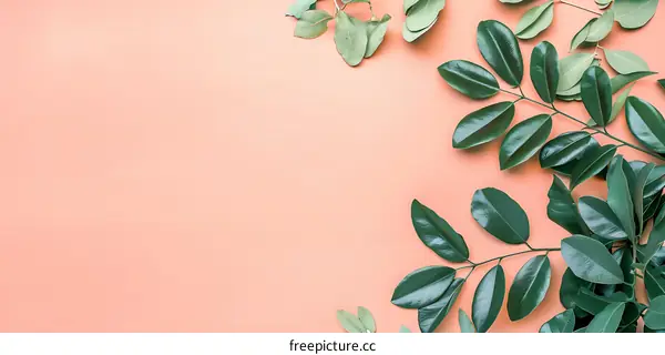 Green Leaves on a Peach Background