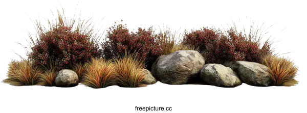 [Transparent Background PNG]Colorful Landscaping Design with Rocks and Plants
