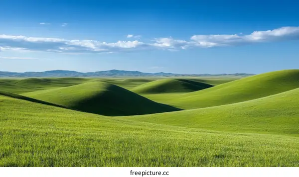 Vast Green Field Rolling Hills Scenic Landscape
