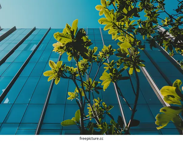 Modern Building with Green Leaves and Blue Sky