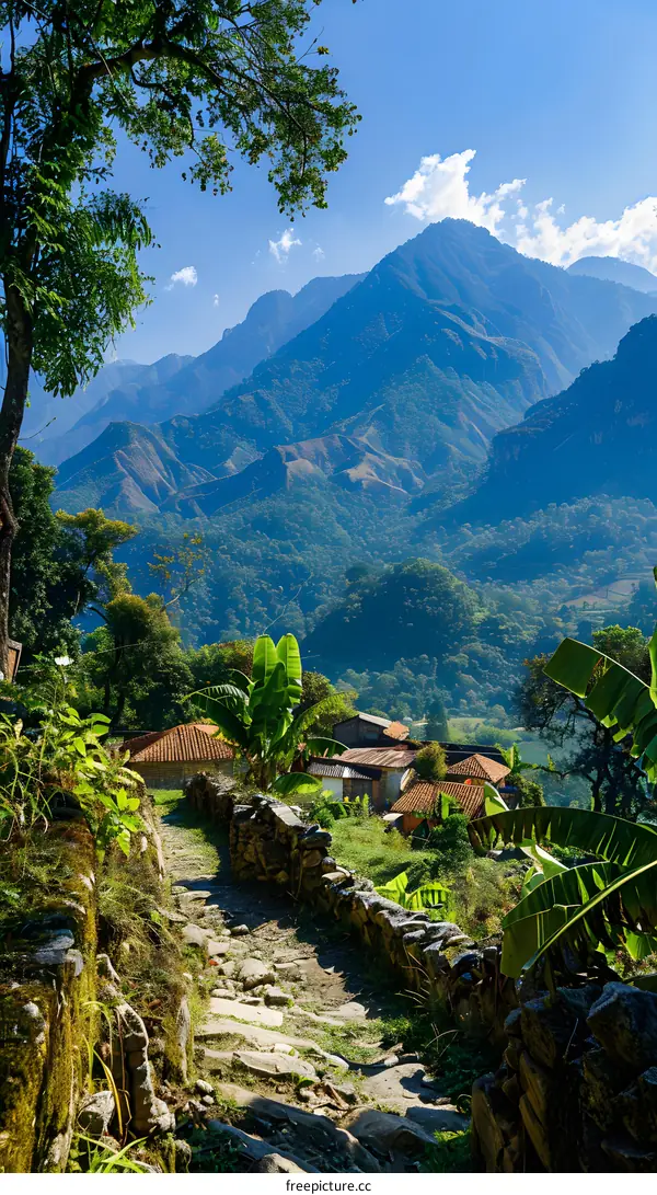 A path leading to a village in the mountains