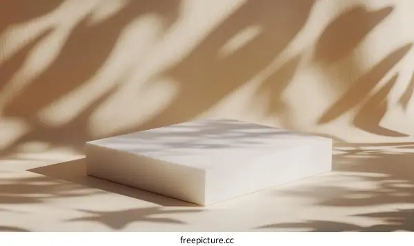 Minimalist Product Display with Natural Shadows