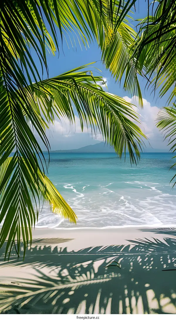 Tropical Beach Palm Tree Landscape With Blue Sky