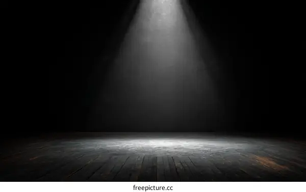 Spotlight on a Dark Wooden Stage