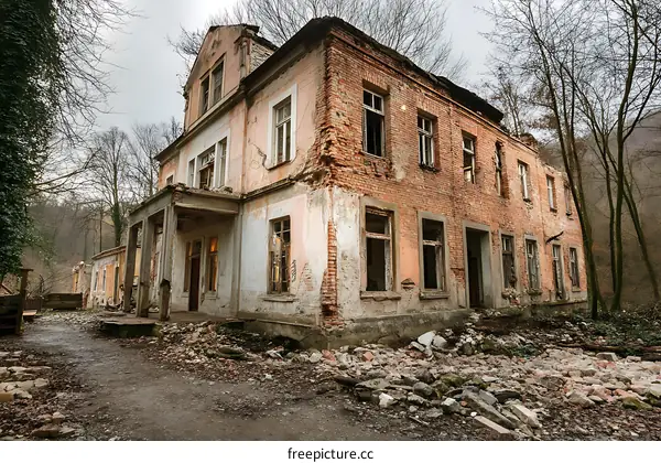 Abandoned Mansion in a Forest