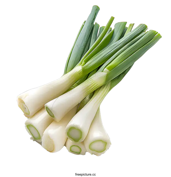 [Transparent Background PNG]A bunch of fresh green spring onions
