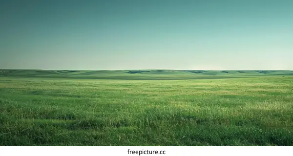 Expansive Green Prairie Landscape Under a Blue Sky