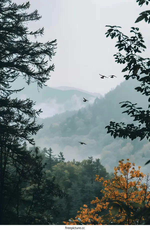 Foggy Mountain Landscape With Birds Flying Over