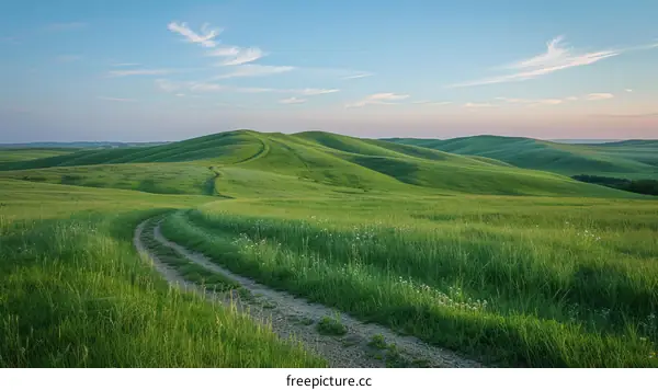 Dirt road through a lush green hilly field