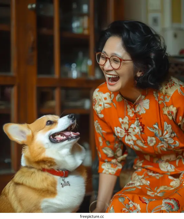 A woman is playing with a corgi dog