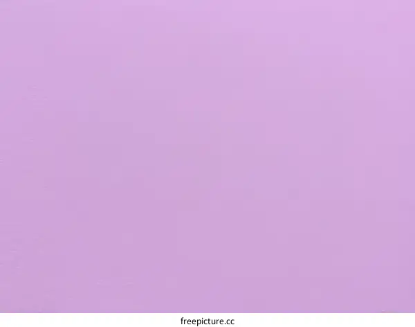 Solid Light Purple Color Texture Background