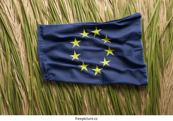 Flag of the European Union on a Golden Field