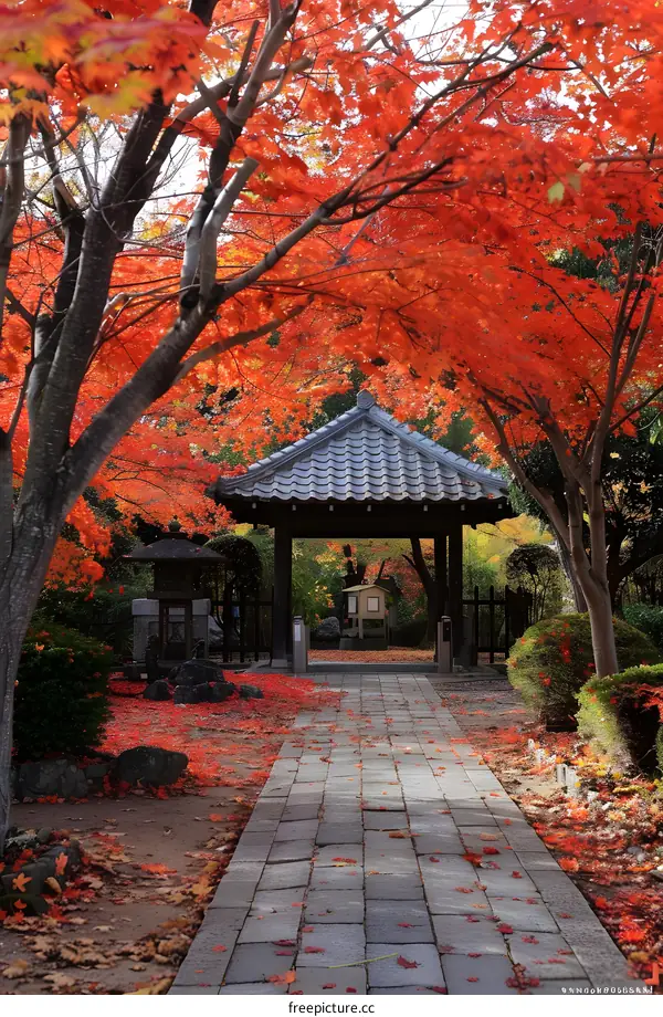 A path covered with fallen red maple leaves leads to a traditional Japanese temple gate