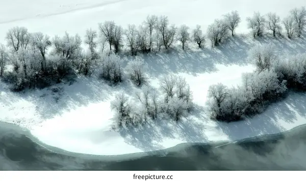 Winter Wonderland Aerial View of Snowy Trees