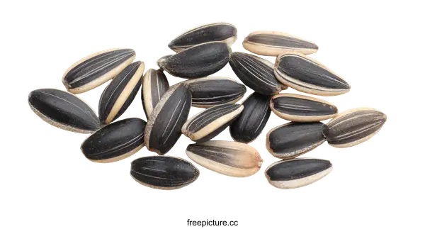 [Transparent Background PNG]Closeup of Sunflower Seeds on White Background