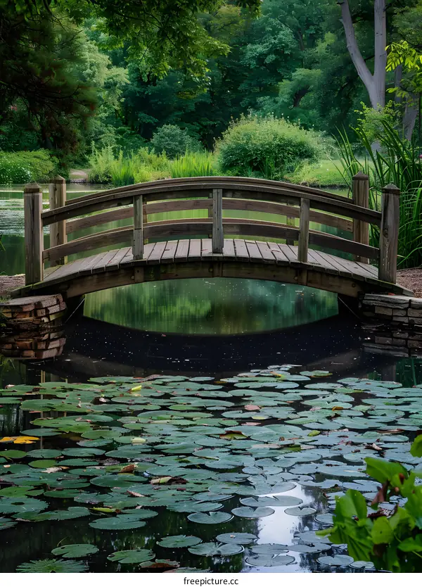 Wooden Footbridge over a Lily Pad Pond