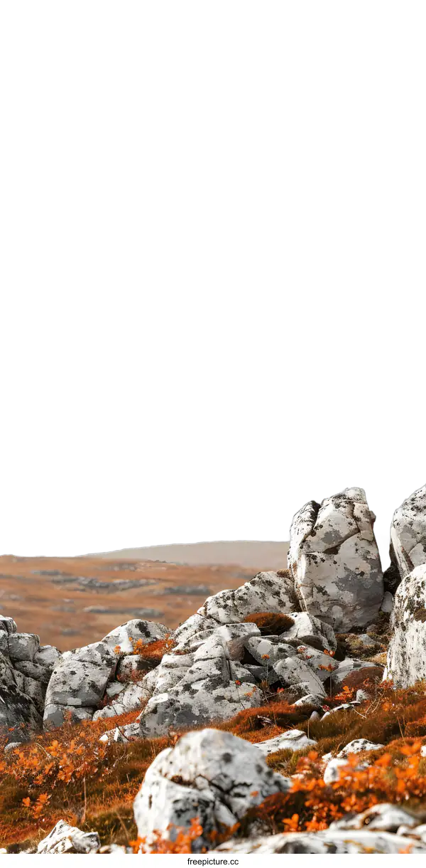 [Transparent Background PNG]Rocky Landscape with Autumn Foliage