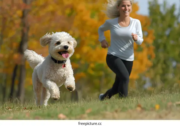 Happy Dog Running With Owner In Autumn