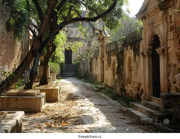 Buildings and trees in a courtyard