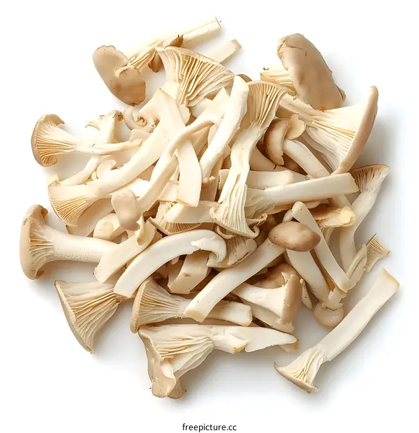 A pile of fresh king oyster mushrooms