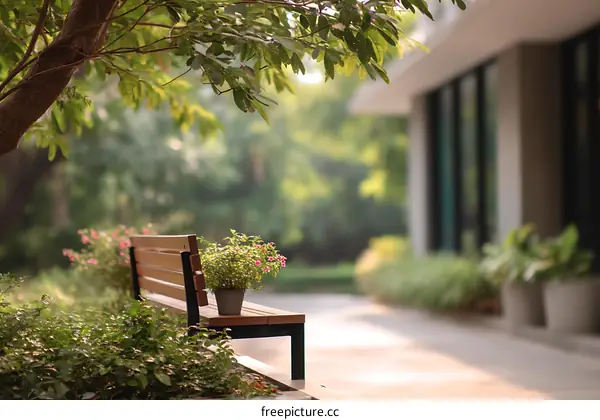 Park Bench Underneath a Tree with Blurred Buildings in Background
