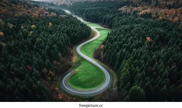 Aerial View of Winding Road Through Forest