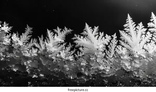 Black and white image of frost on a window