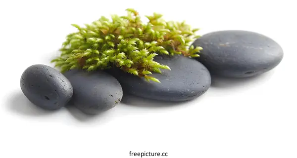 Zen Stones And Moss On White Background