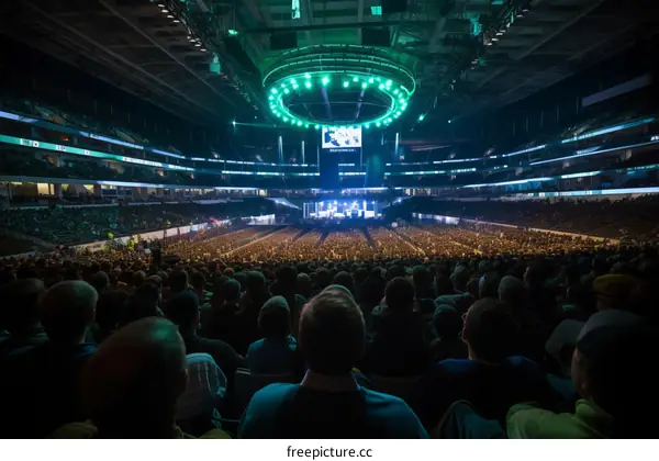 A large crowd of people at a concert