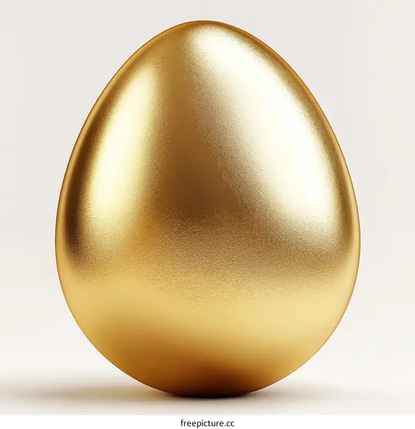 Golden Egg Illustration
