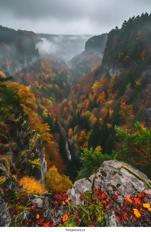 Aerial View of Fall Foliage in a Mountain Valley