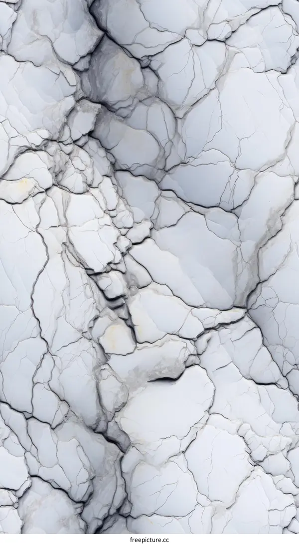 Cracked Marble Texture Background - Black and White
