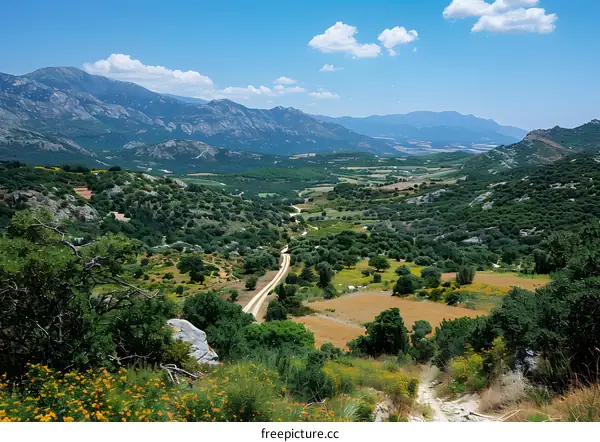 A dirt road winds through a valley in Greece