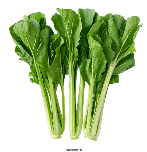 [Transparent Background PNG]Fresh Organic Bok Choy on White