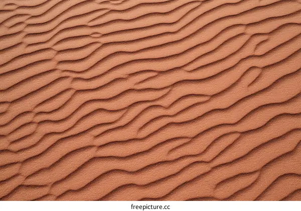 Desert Sand Texture Patterns