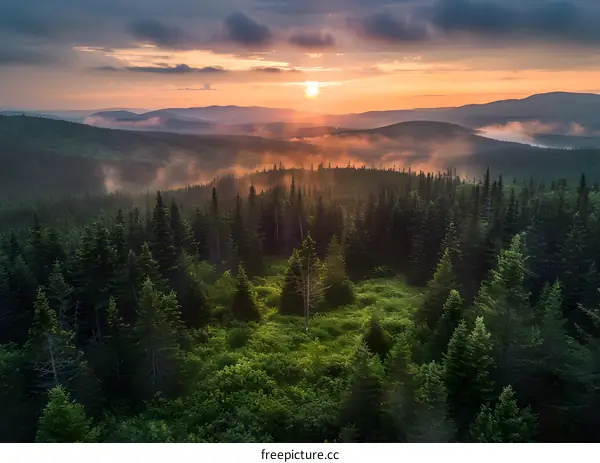 Aerial View of Forest at Sunset with Misty Mountains