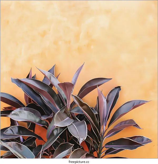Purple Plant Leaves Against a Yellow Wall