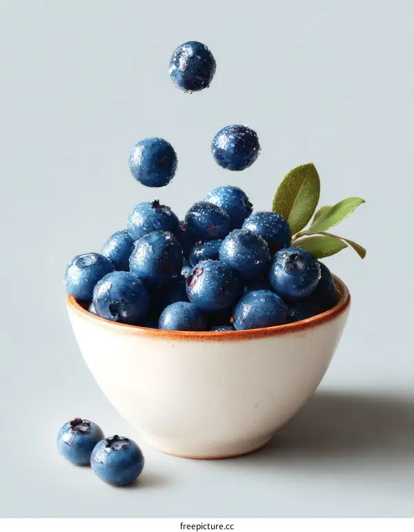 Fresh Blueberries in a Bowl with Water Drops