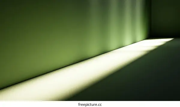 Empty Green Room with Sunlight and Shadow